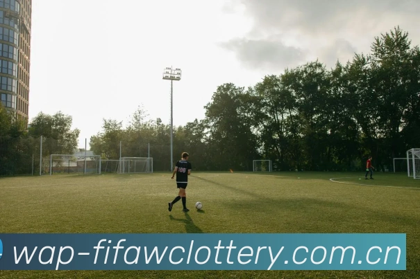FIFA 体彩数据授权认证
